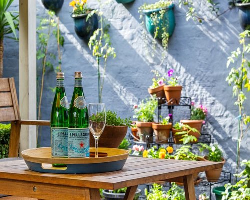 A glass bottle of water next to green potted plants on a simple patio during a warm quiet weekend afternoon